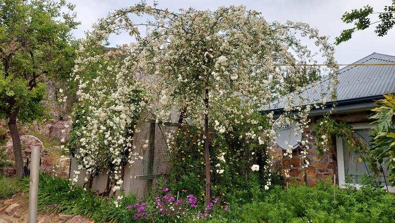 3 Bedroom Property for Sale in Citrusdal Western Cape